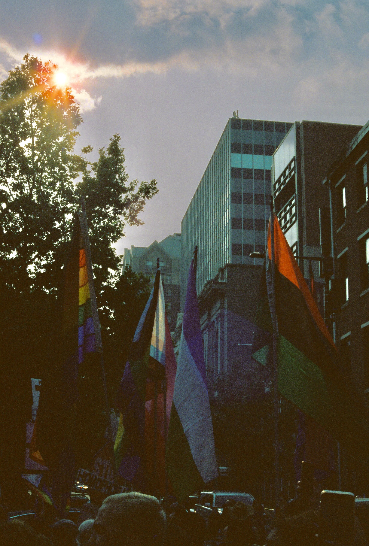 Photo of four flags in the streets of Philadelphia. From left to right the flags are a Gay Pride flag, Trans rights flag, Aroace flag, and Pan African flag.